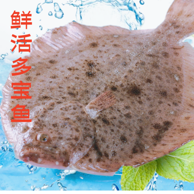 鲜活  多宝鱼（默认宰杀）
