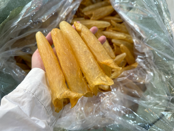 广东 35头无破洞足干 深海黄花胶 100g净重