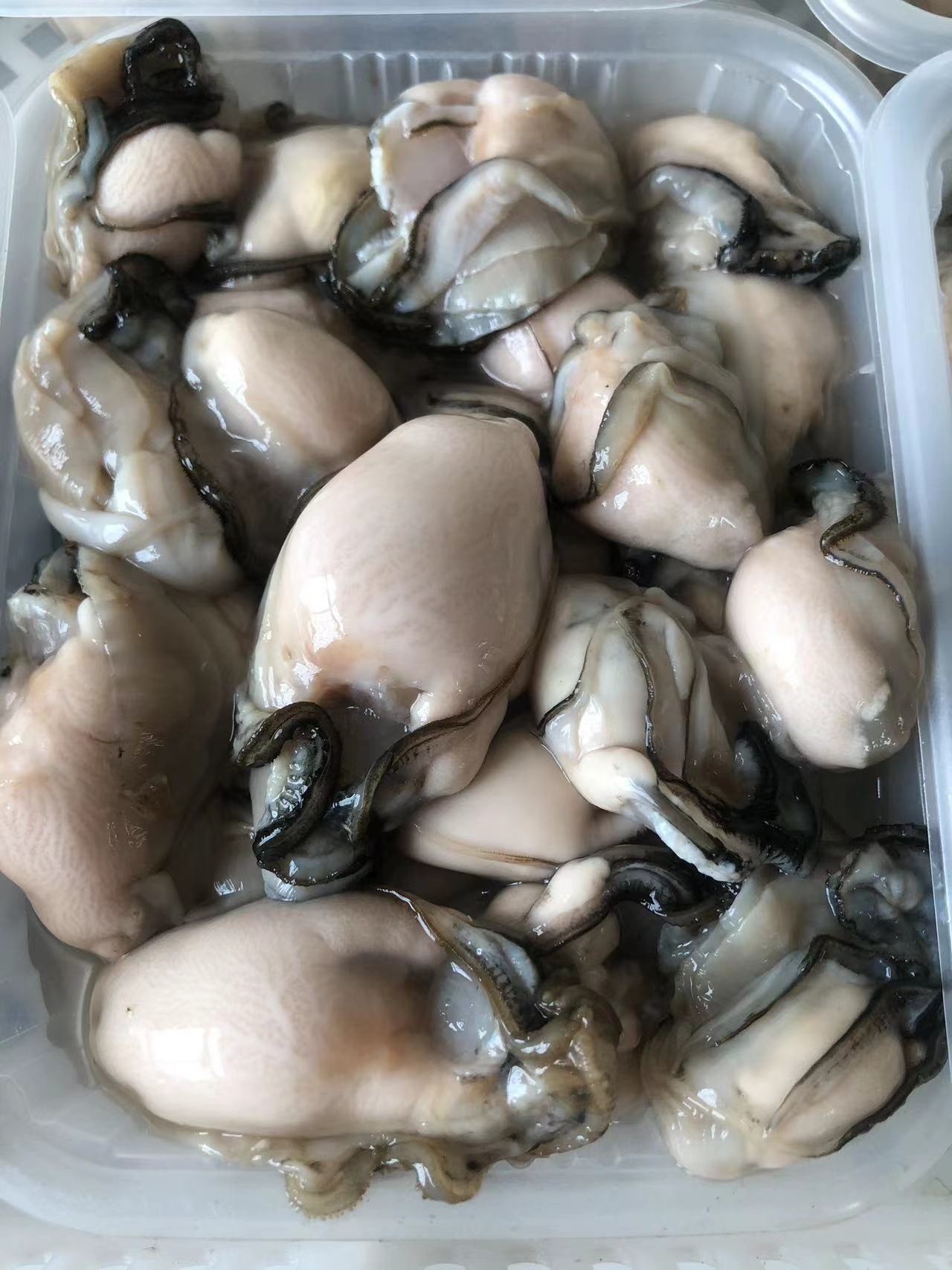 南澳珍珠生蚝肉 口感绵密个头不大 250克/盒