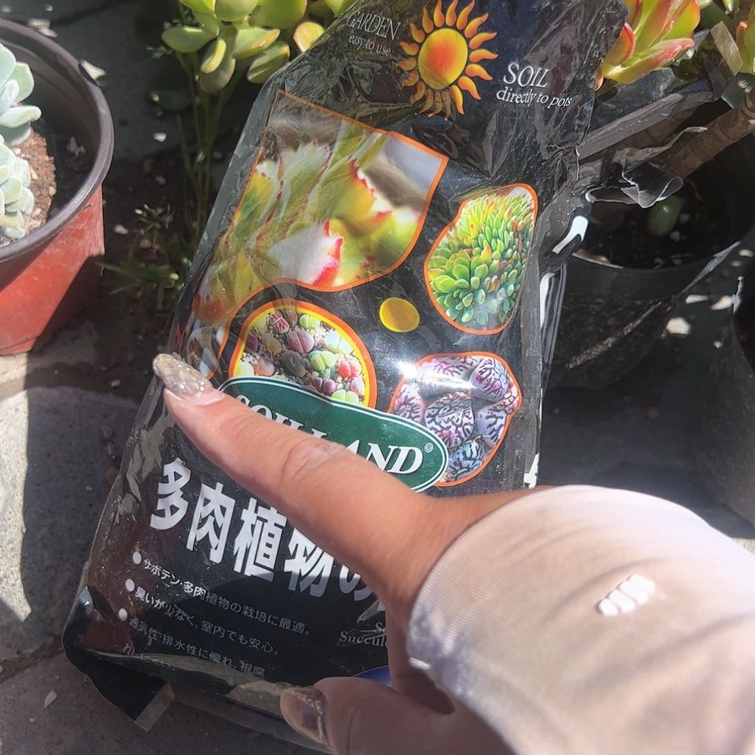 多肉土多肉植物精品