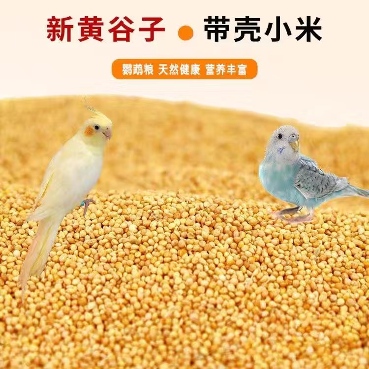 新谷子粮虎皮鹦鹉饲料鸟粮玄凤谷子牡丹粮食文鸟带壳小黄米雀鸟粮
