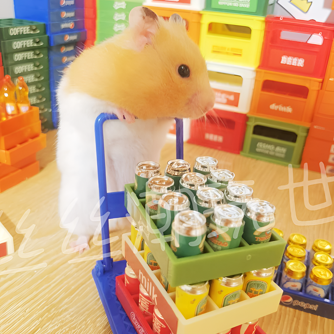 【熊丝丝摆件直播拍】微缩迷你摆件