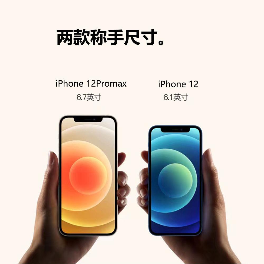 99新 Apple/苹果 ·iPhone12Promax双卡5G 全网通面容解锁备用手机