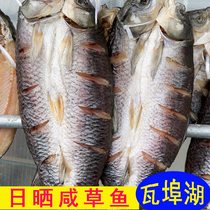 安徽风干大草鱼日晒咸鱼晒干大混子肉厚鱼腌制盐鱼干腊鱼肉新鲜