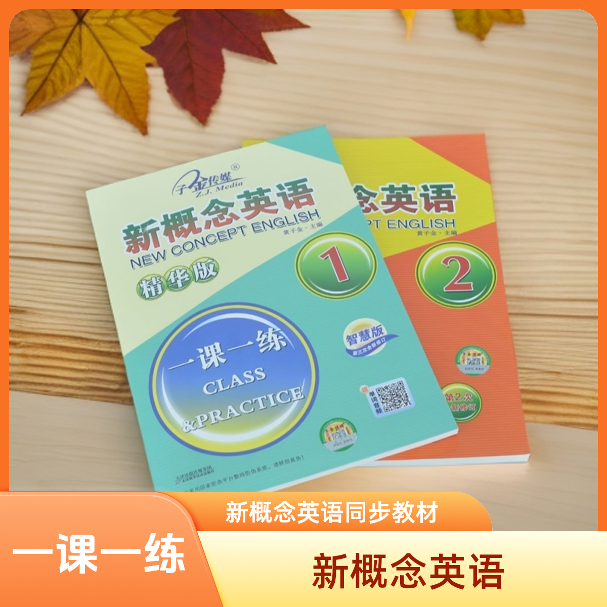 新概念英语一课一练 正版包邮 提升英语必备 精华版 实践与进步