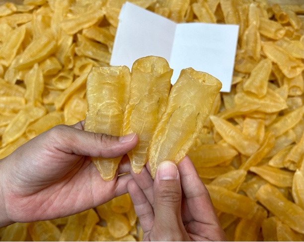 【旺泰佳】本港白花胶小胖子 深海干货鱼胶孕产术后花胶1-500克