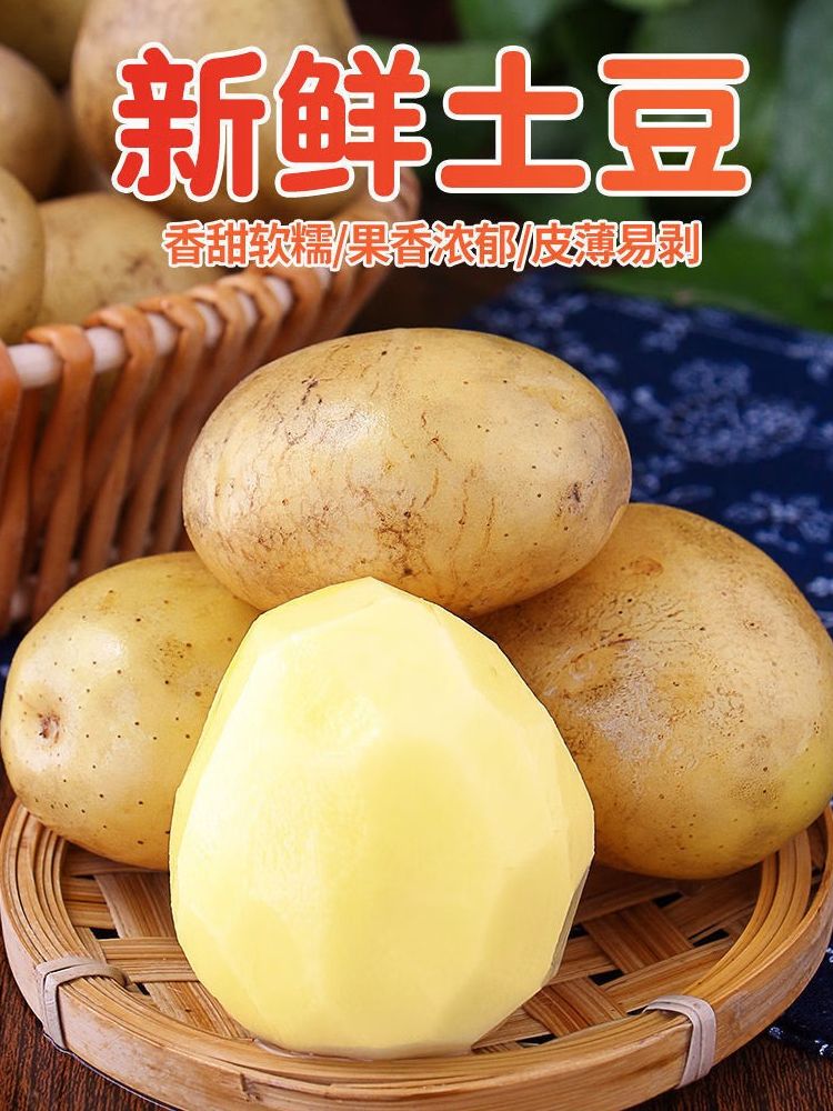 【东台琴姐】农家自种新鲜土豆黄心土豆