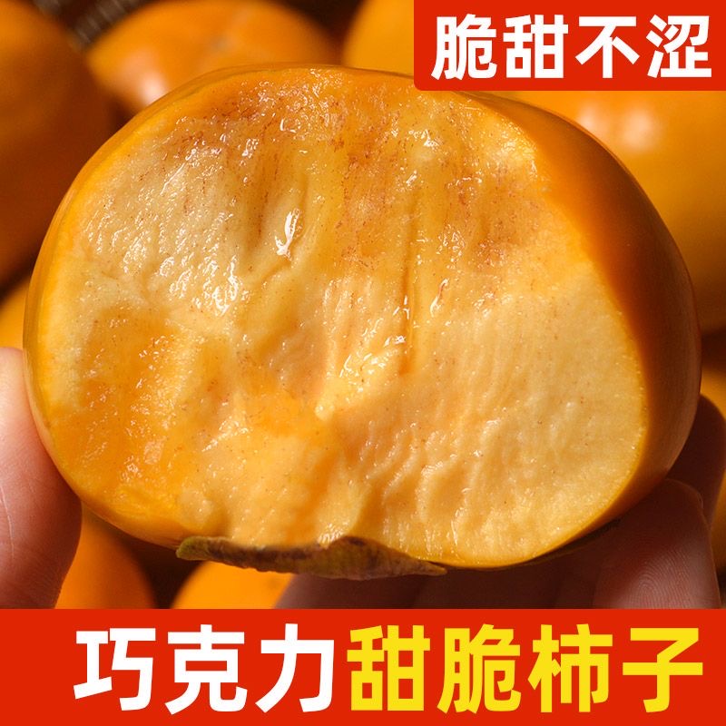 巧克力冰糖心脆柿子 脆甜柿新鲜水果无核大果阳丰柿子黄心扁柿子