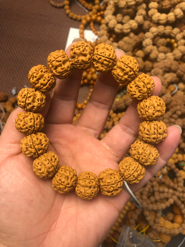 帝王龙手串20mm金刚菩提手串小金刚菩提籽粗筋爆肉梅花桩手串