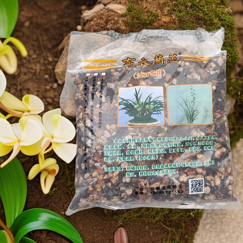 王姐兰园！金丰兰园！蕙兰植料阳台兰花售卖正宗