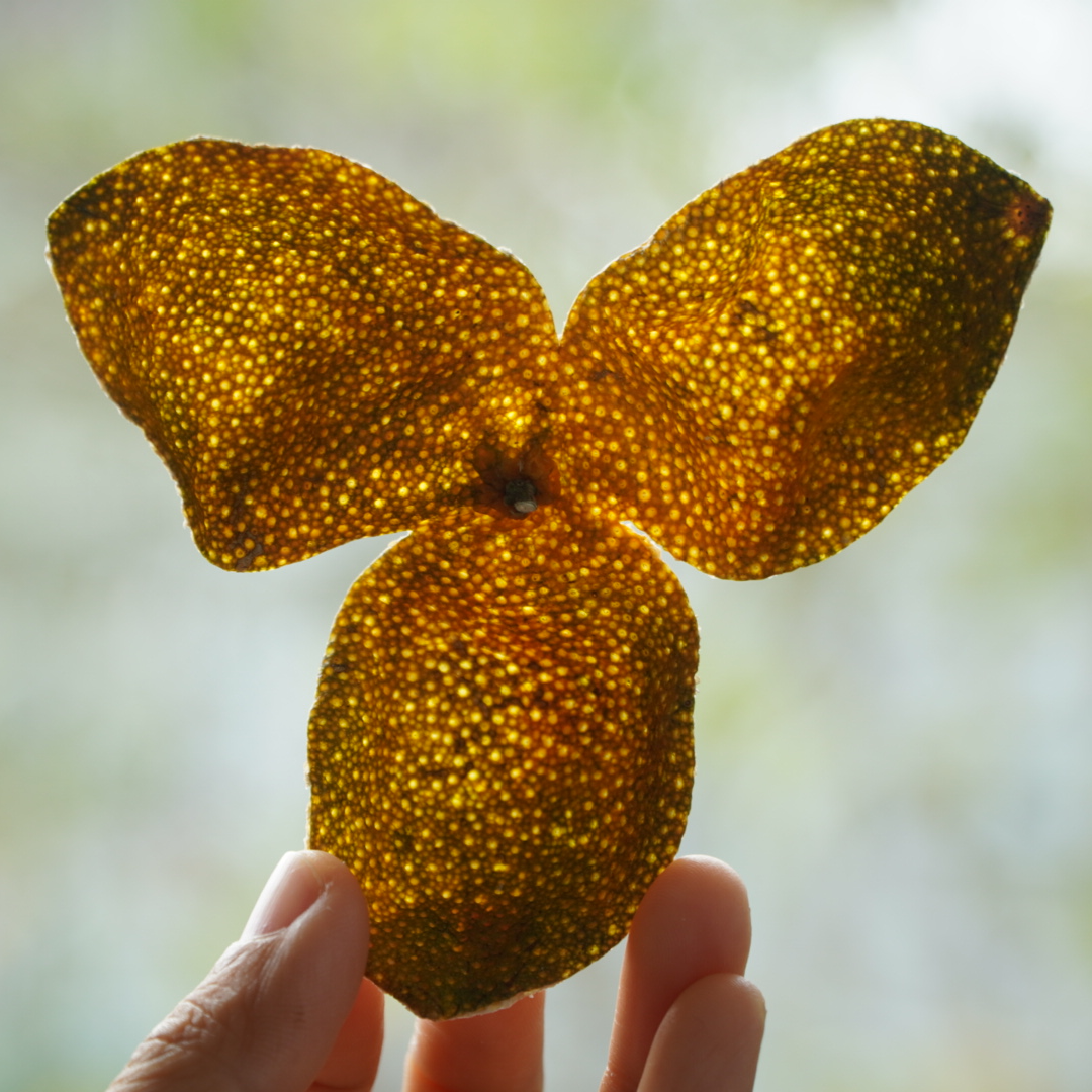 2023新皮/天马16年老树/高端藏家必藏/稀缺品类/油气霸道/薄荷香