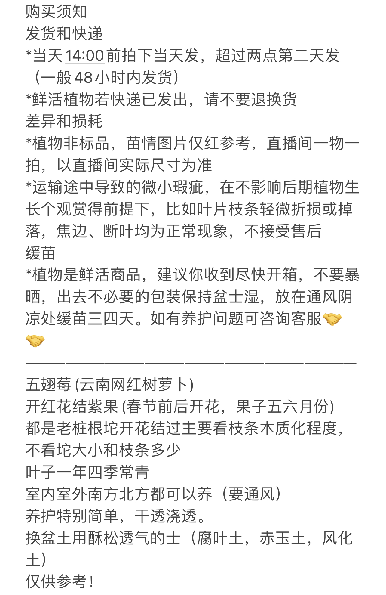 精品五翅莓开花结果