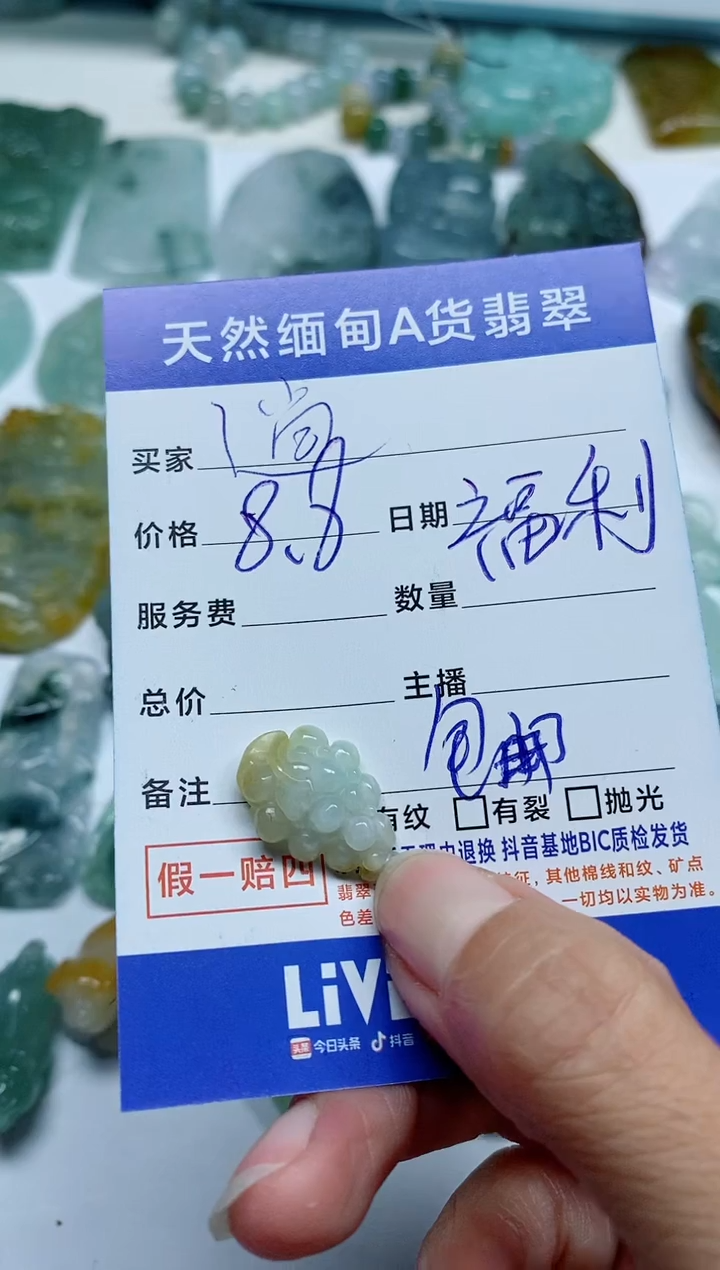 【闪购商品】翡翠颈饰未镶嵌A82