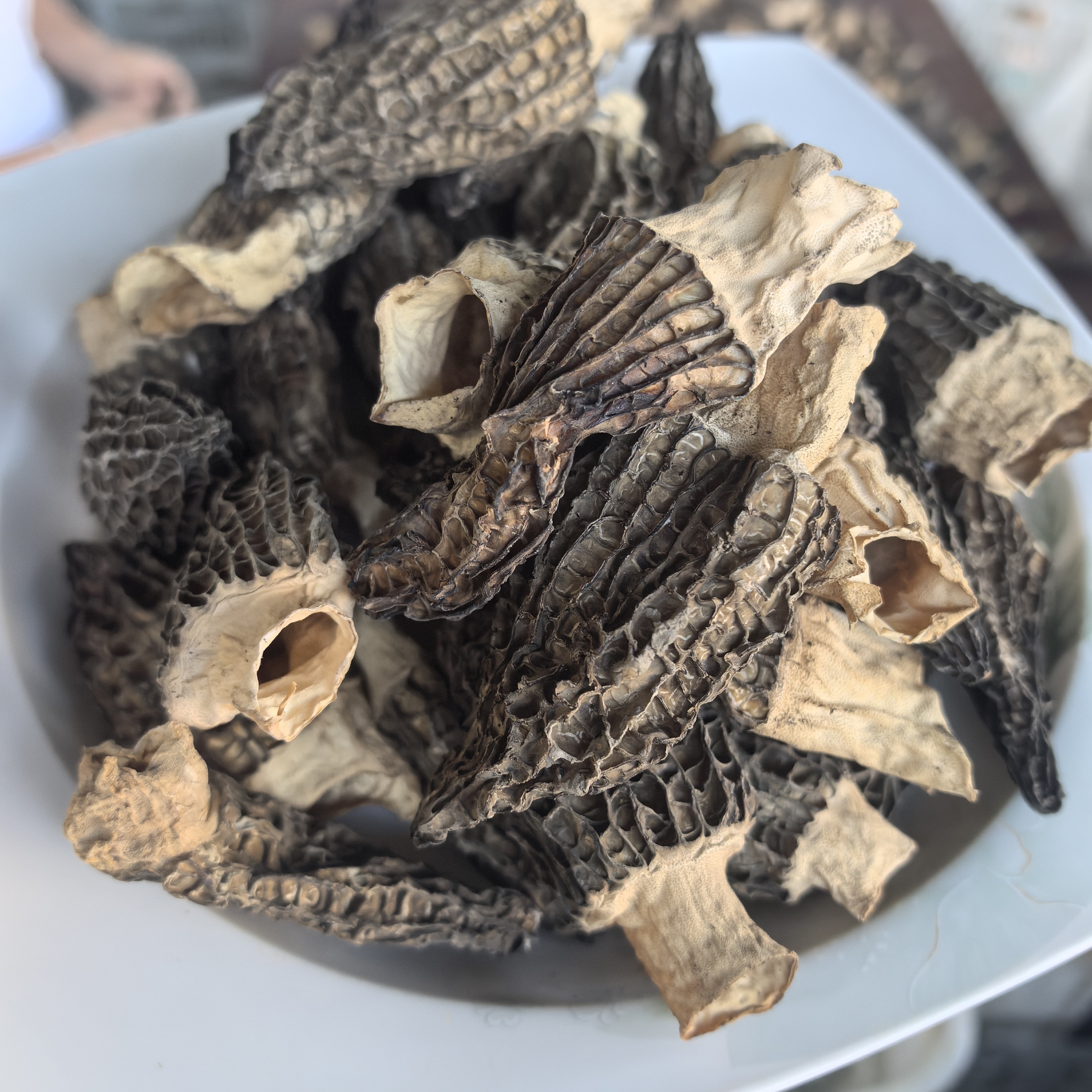 羊肚菌干货福利款500g包邮
