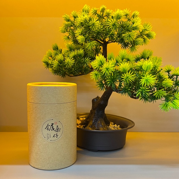 凤凰单丛乌龙茶锯朵仔鸭屎香蜜兰香大乌叶兰花香小罐茶叶送礼品装