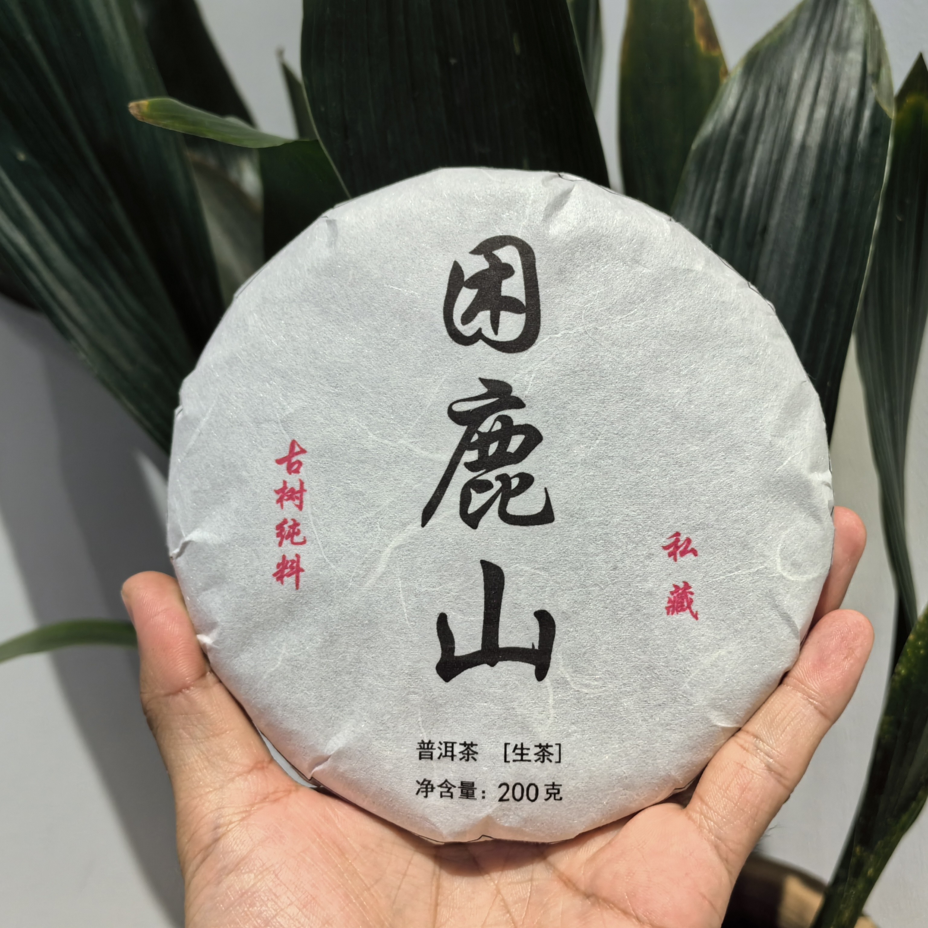 【初一的茶】2024困鹿山生茶非核心200克包邮送品鉴试喝装