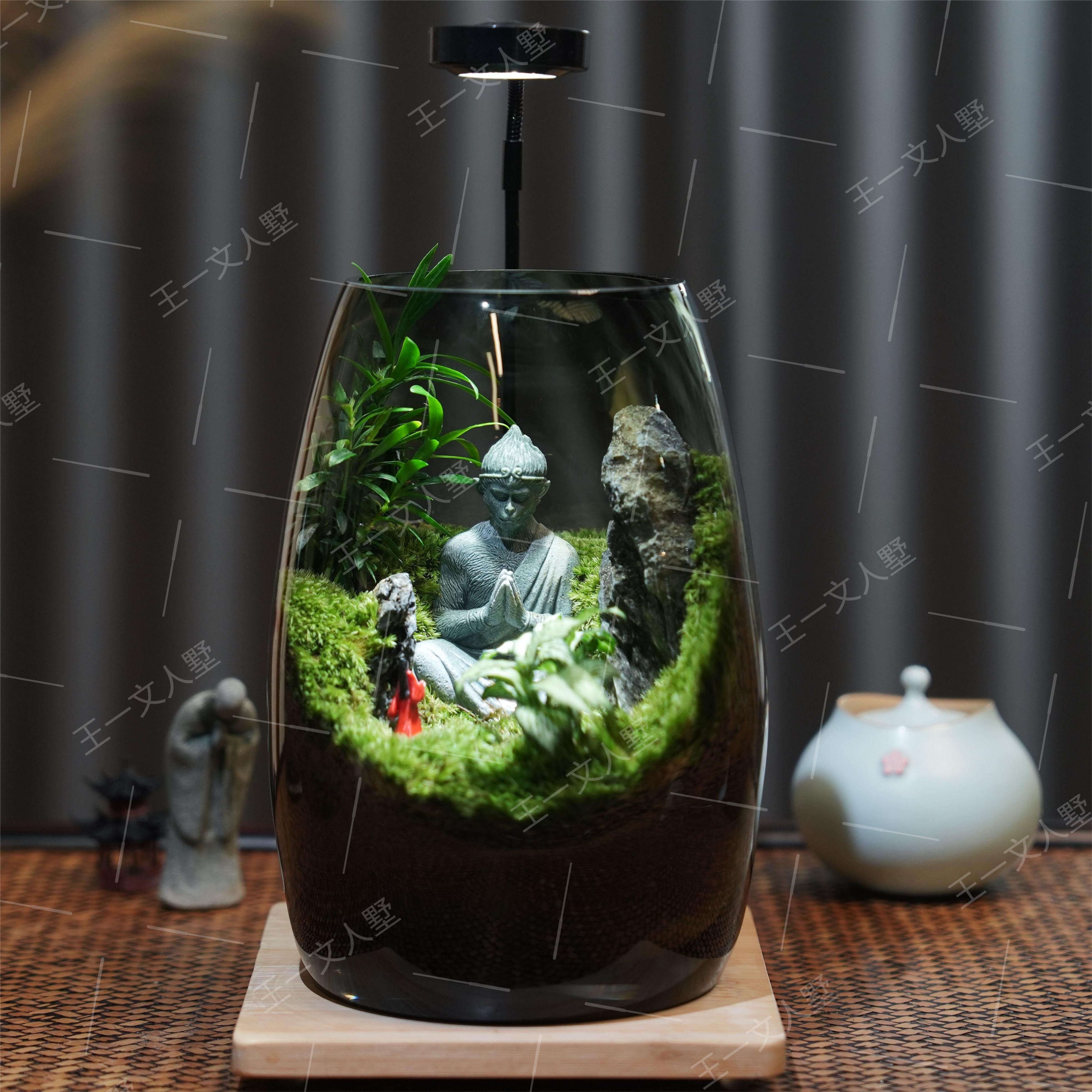 【大圣归来】G纯手工艺术苔藓微景观客厅绿植功能观赏摆件归来