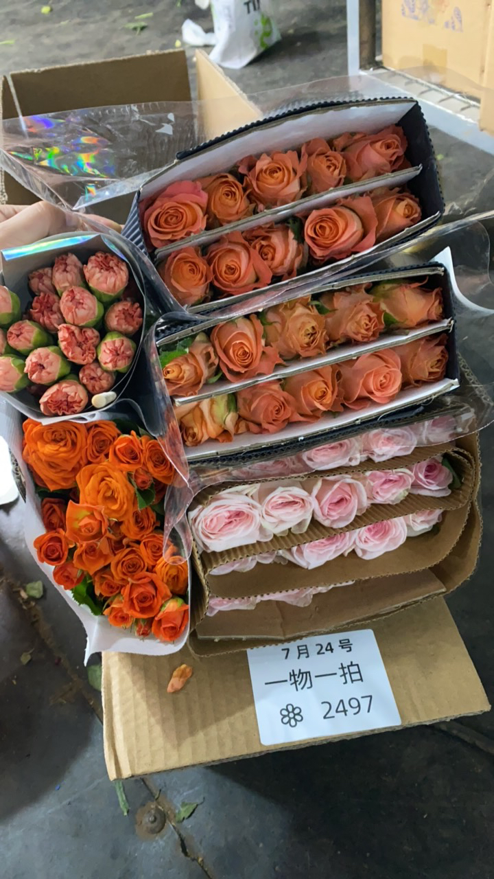 2497【鲜花组合】一物一拍 秒拍秒发 现场发货