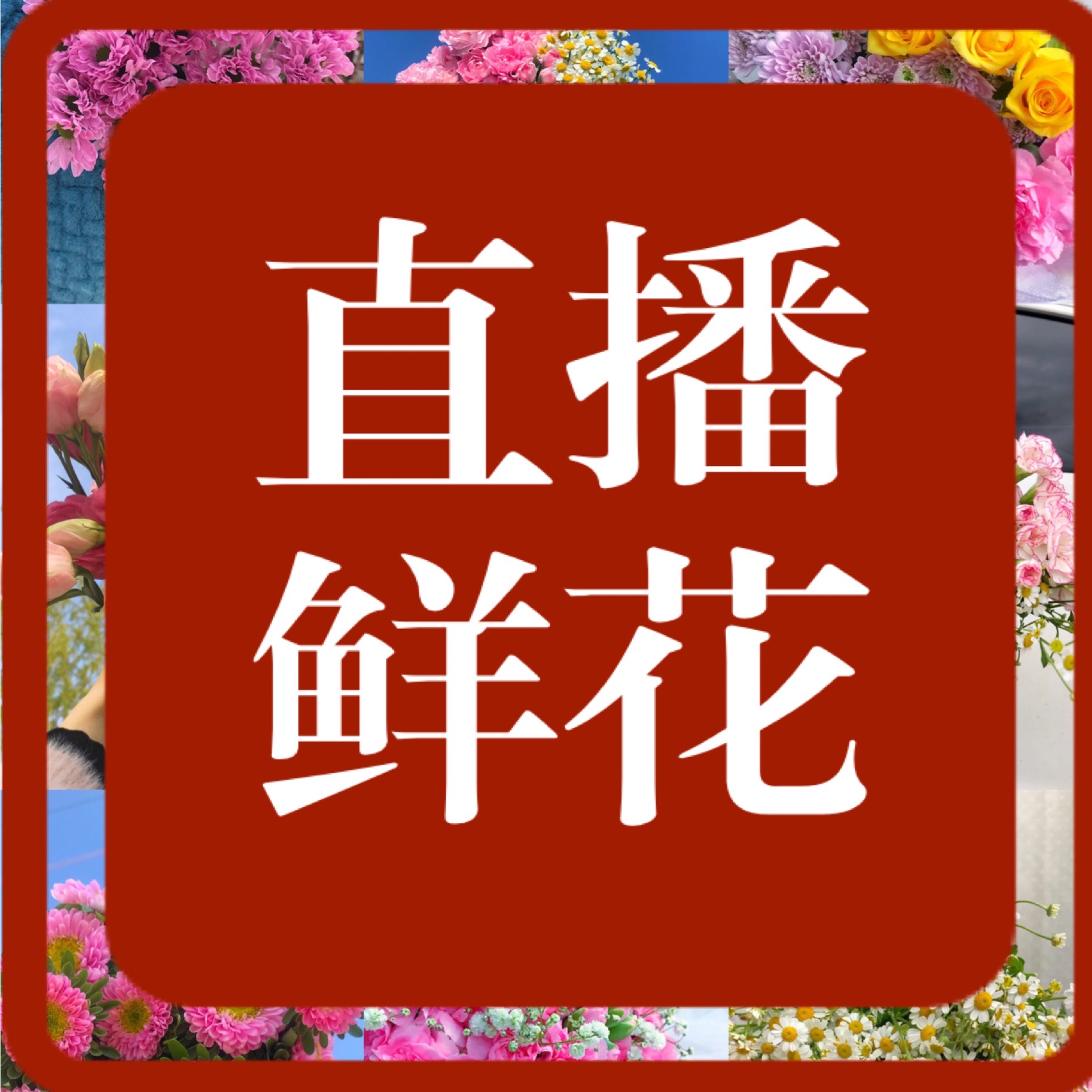 0463【鲜花组合】一物一拍 秒拍秒发 现场发货 浪漫七夕礼