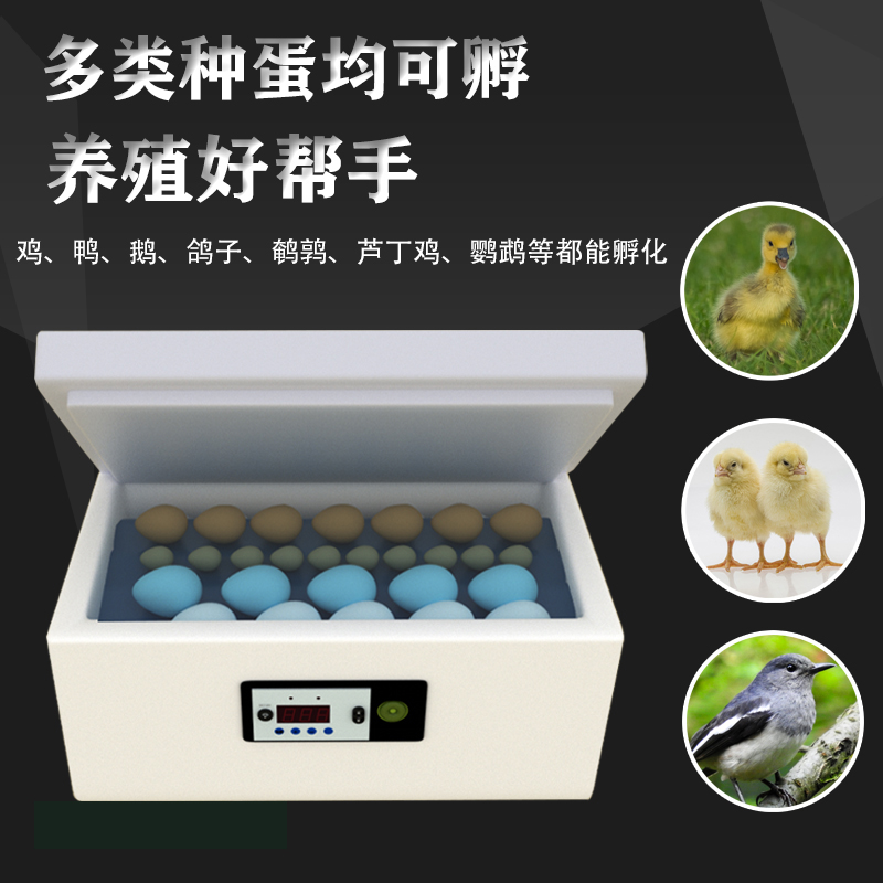 孵化器小型家用智能水床小鸡孵化机孵小鸡的机器鸡鸭鹅水床孵蛋器