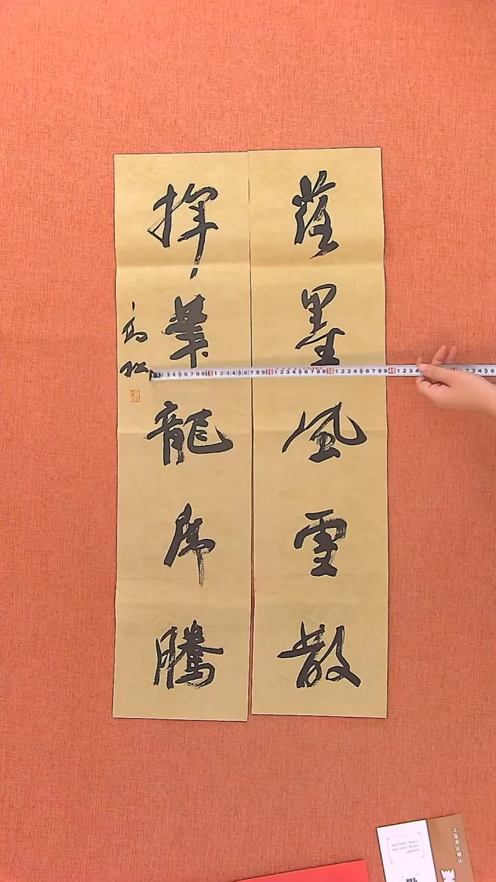【闪购商品】书法206  中书协会员高松老师