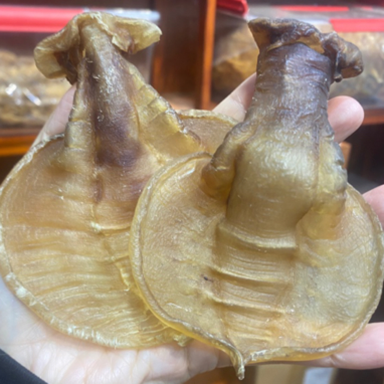 南货石肚公胶月子胶滋补品