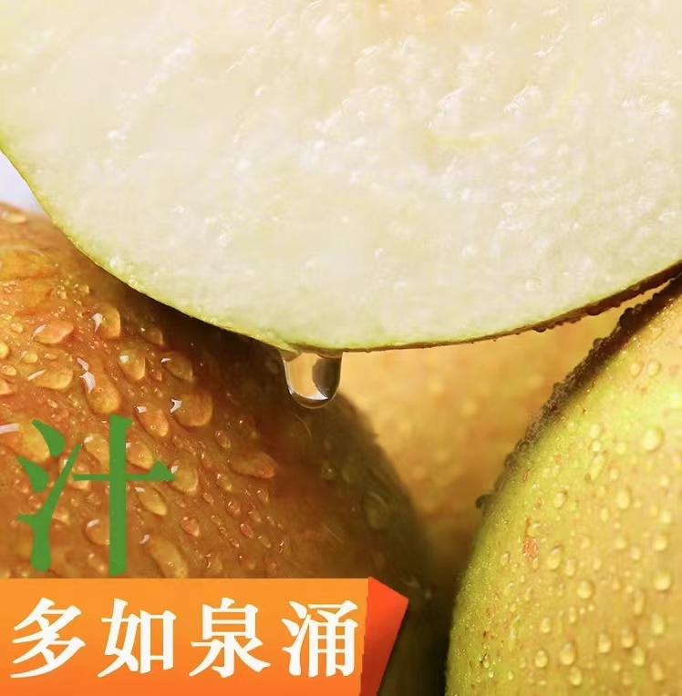 2025年山西玉露香梨礼盒装