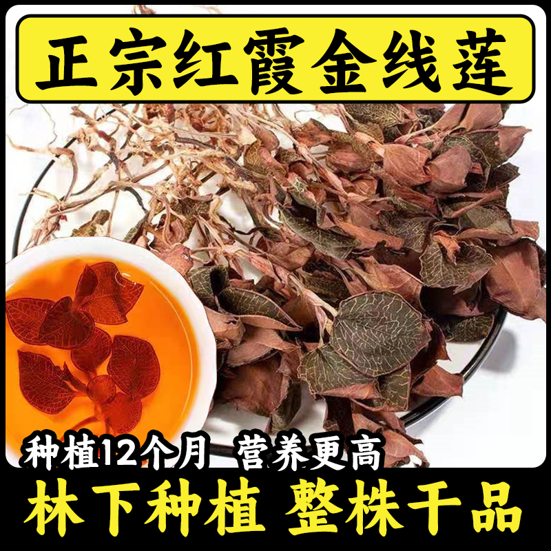 正宗福建红霞金线莲50g 林下种植优质整株干货泡水煲汤可搭枸杞
