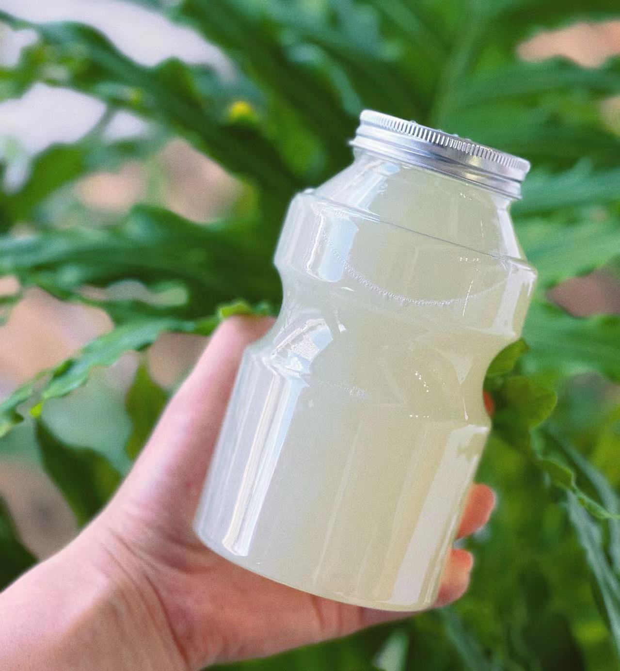 秋月梨汁一杯（500ml）