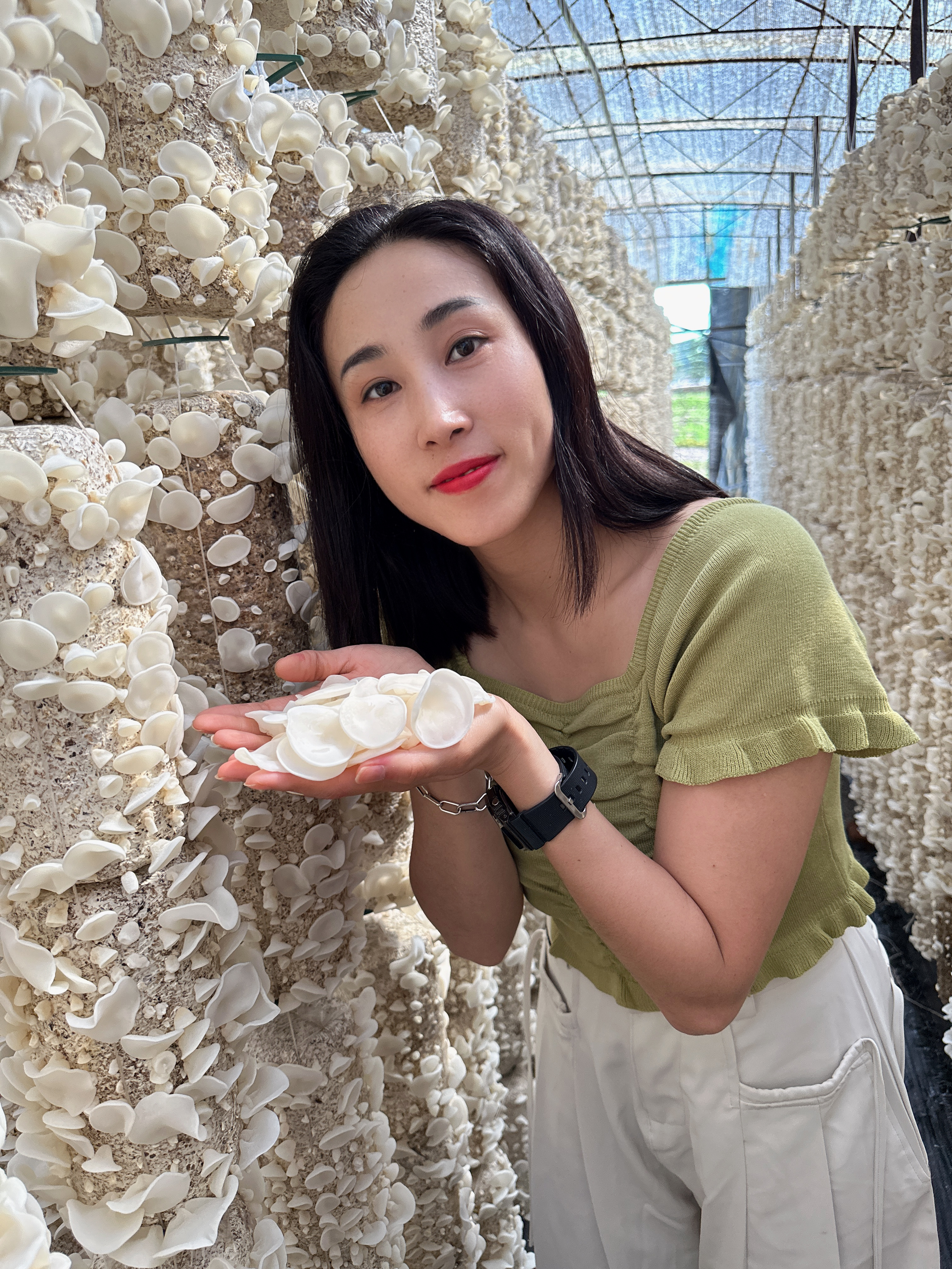 黑龙江特产白玉木耳 大朵肉厚无根干净 500克/袋