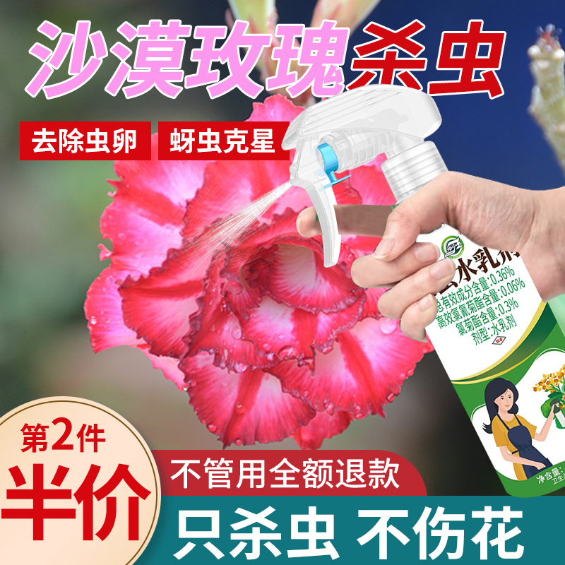 沙漠玫瑰杀虫剂花卉植物土壤灭盆栽小飞虫药蚧壳虫蚜虫打虫治虫