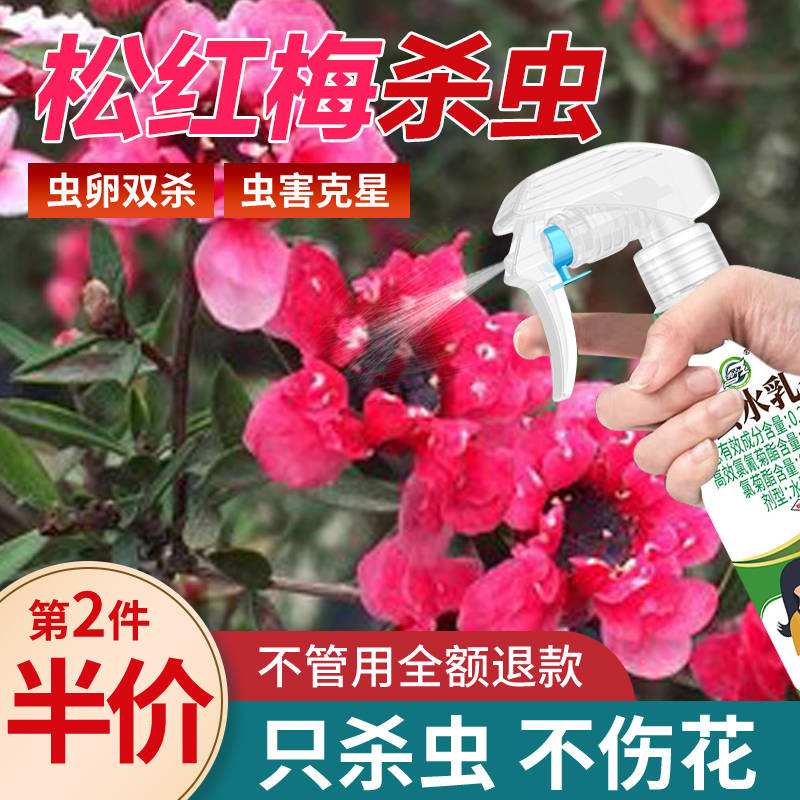 松红梅杀虫剂花卉植物土壤灭盆栽小飞虫药蚧壳虫蚜虫打虫家用治虫