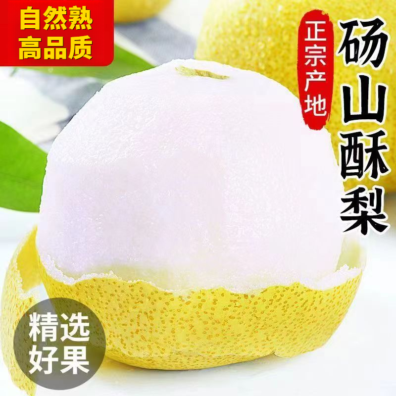 【安徽正宗砀山梨】砀山酥梨新鲜水果当季梨子整箱批发炖梨冰糖雪梨