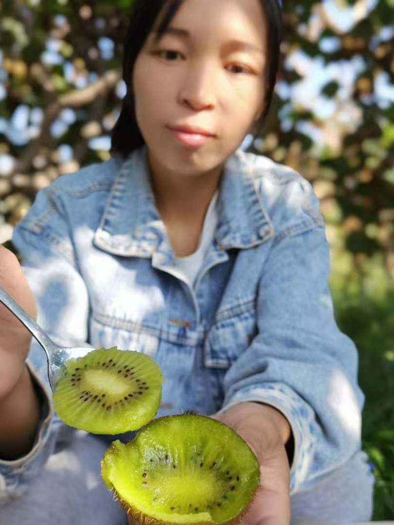 优级果5斤，陕西周至绿心徐香猕猴桃奇异果、树上现摘、顺丰包邮