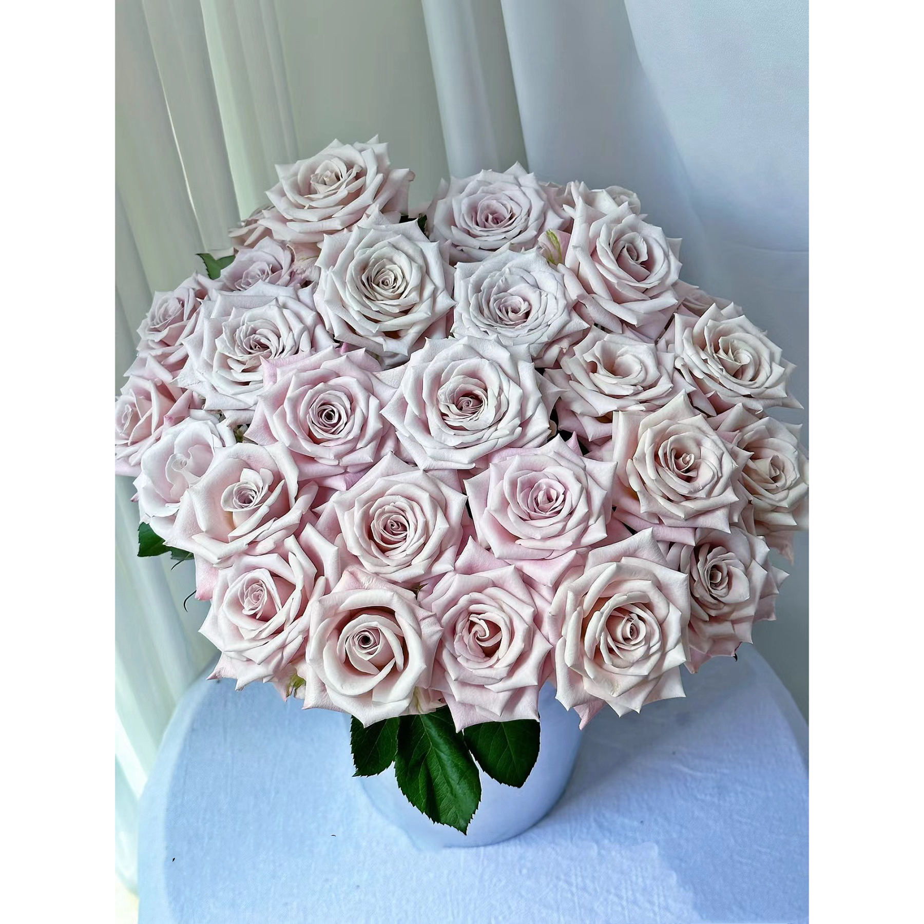 【藩篱匠人/A级曼塔】【单头玫瑰】 颜色温柔优雅 家养鲜切花