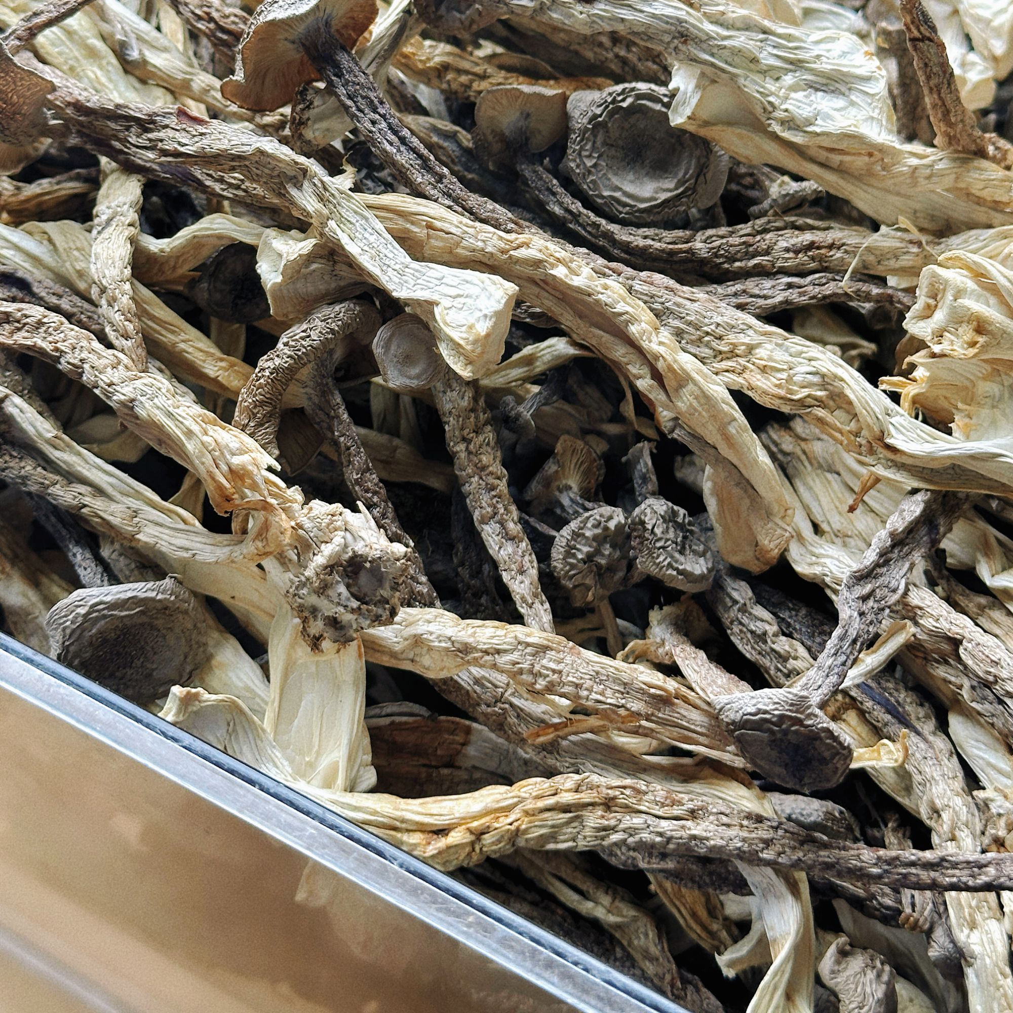 【肥妈汤料】鹿茸菇 煲汤炖汤材料