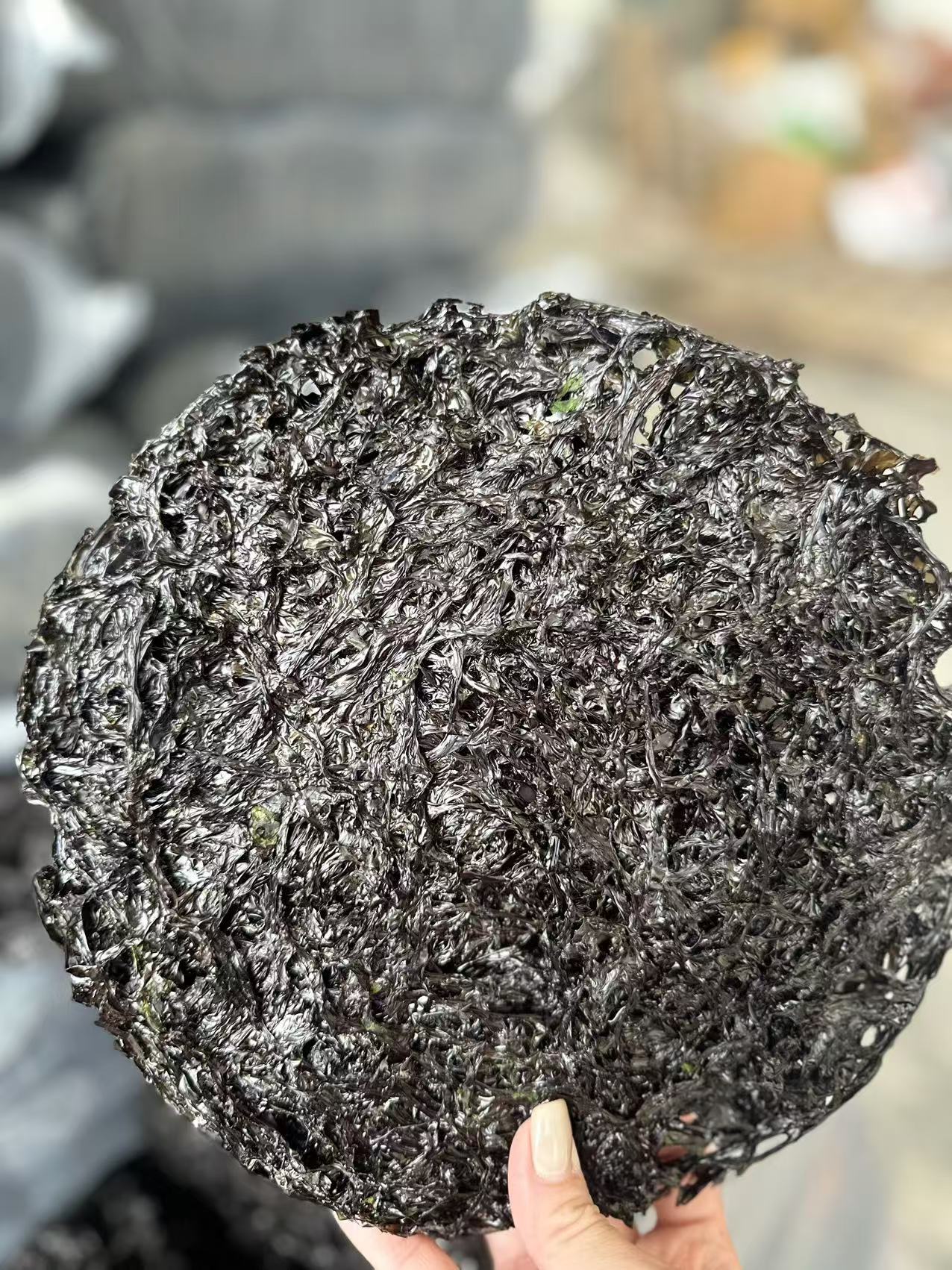 福建霞浦 头水紫菜  散装好吃鲜美营养爽脆生态