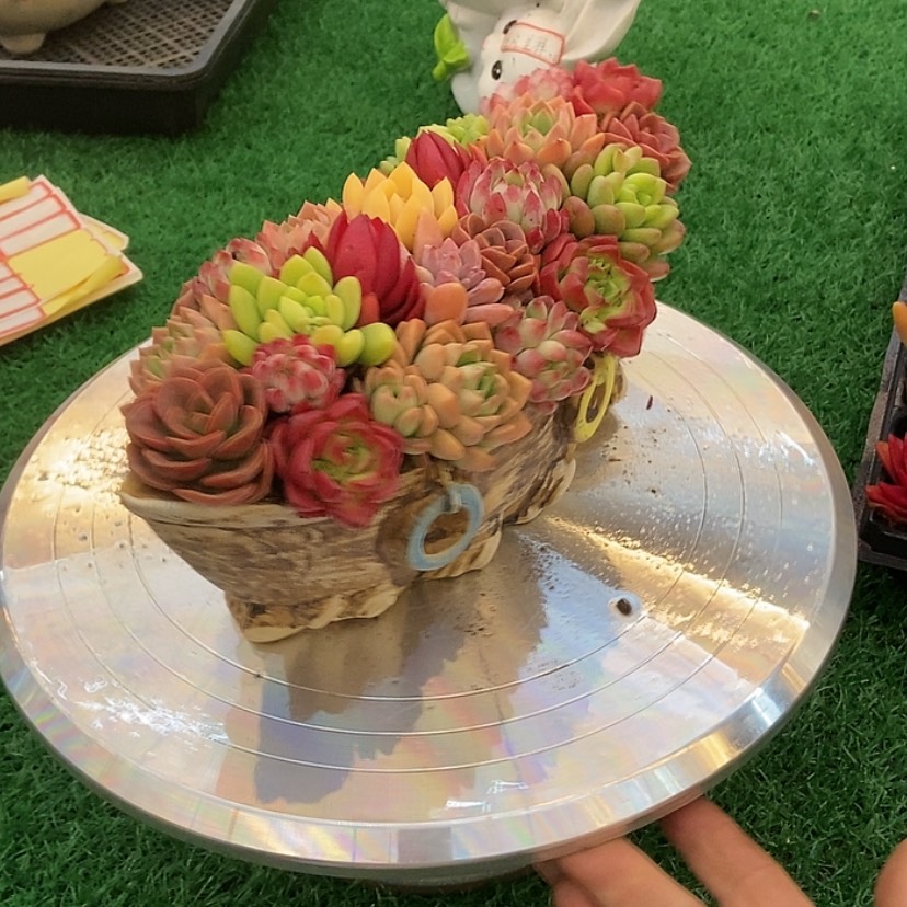 【闪购商品】点赞四万福利