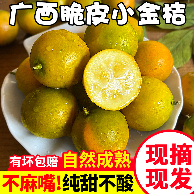 广西二代脆皮金桔滑皮新鲜水果桔子当季冰糖皮薄2斤装现摘现发商品图