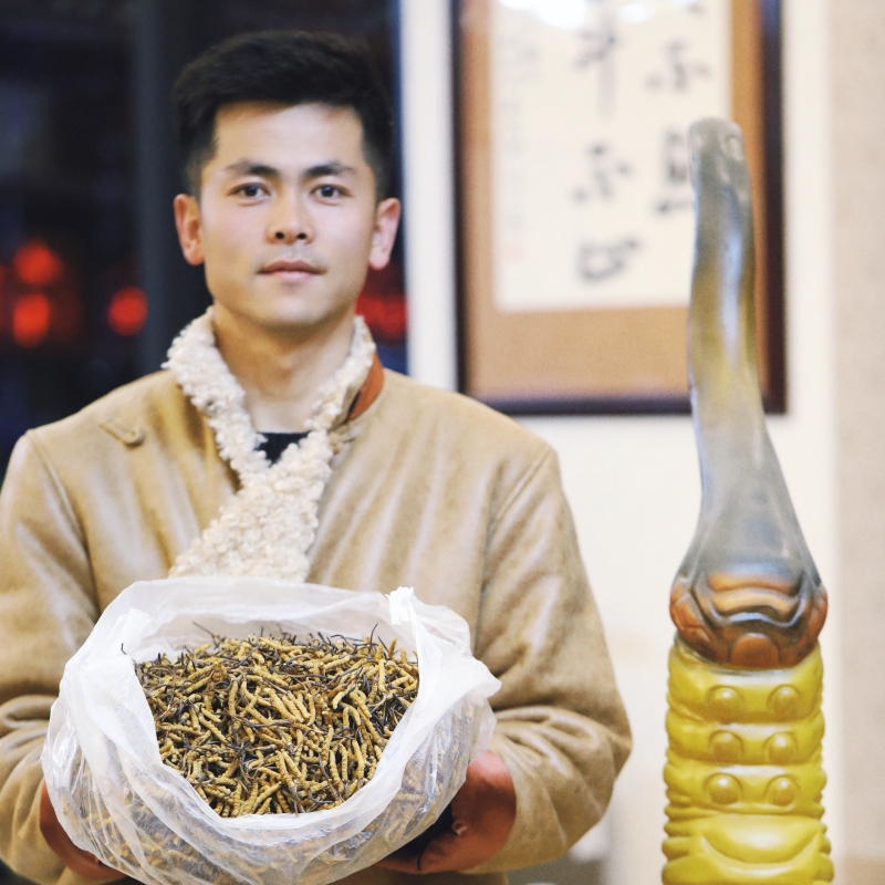 【3根/克】西藏小艾  西藏那曲比如冬虫夏草自吃送礼