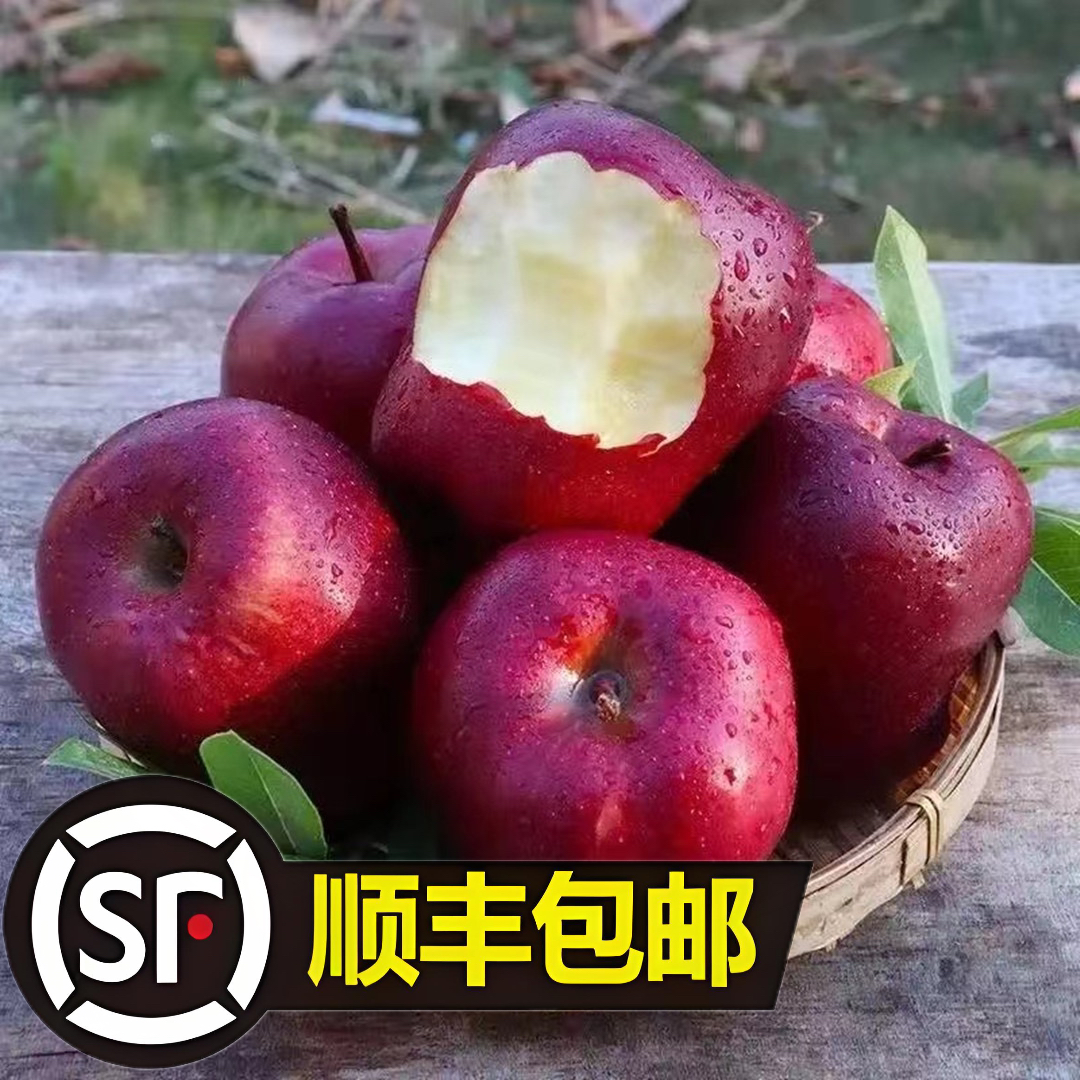 【顺丰包邮】甘肃天水花牛苹果蛇果自然成熟采摘新鲜多汁3-5-10斤