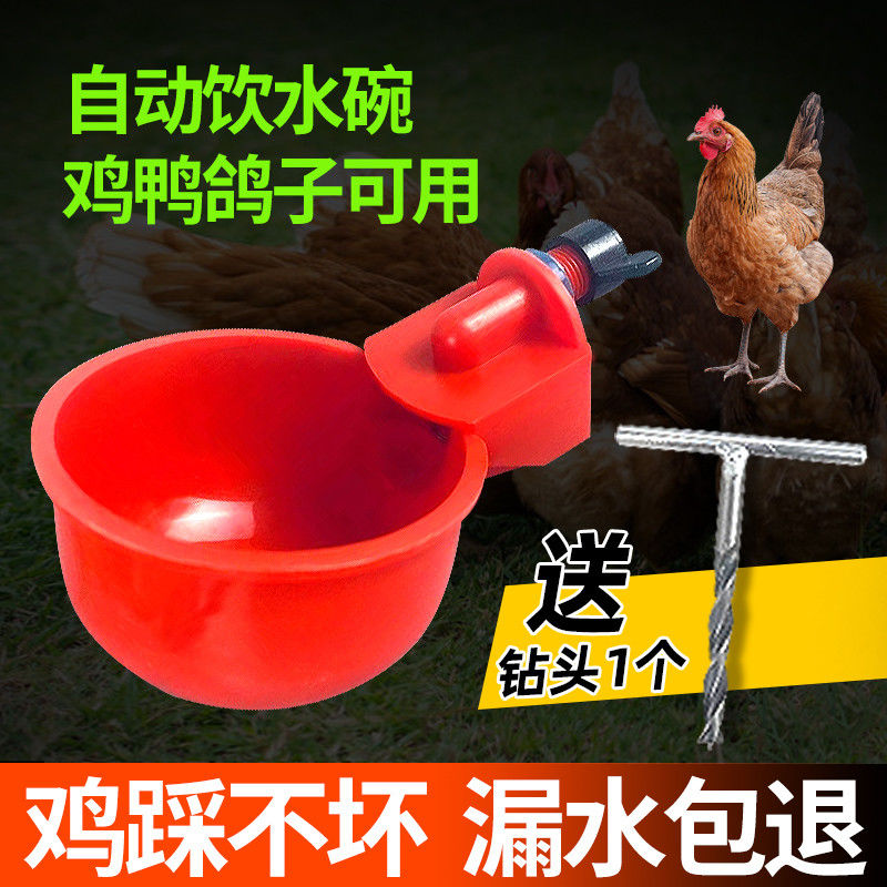 鸡鸭鹅家禽自动喂水器喂鸡水桶鸭鹅自动饮水器配件鸽子鹌鹑饮水碗