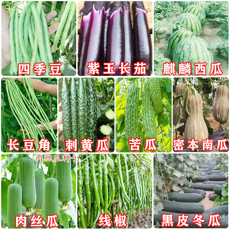 B【临时链接】云南土特产 农产品 赶集专用临时链接 现收现称现发