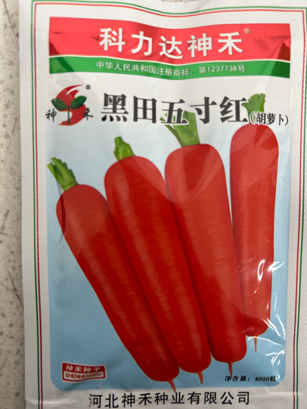黑田五寸红胡萝卜籽