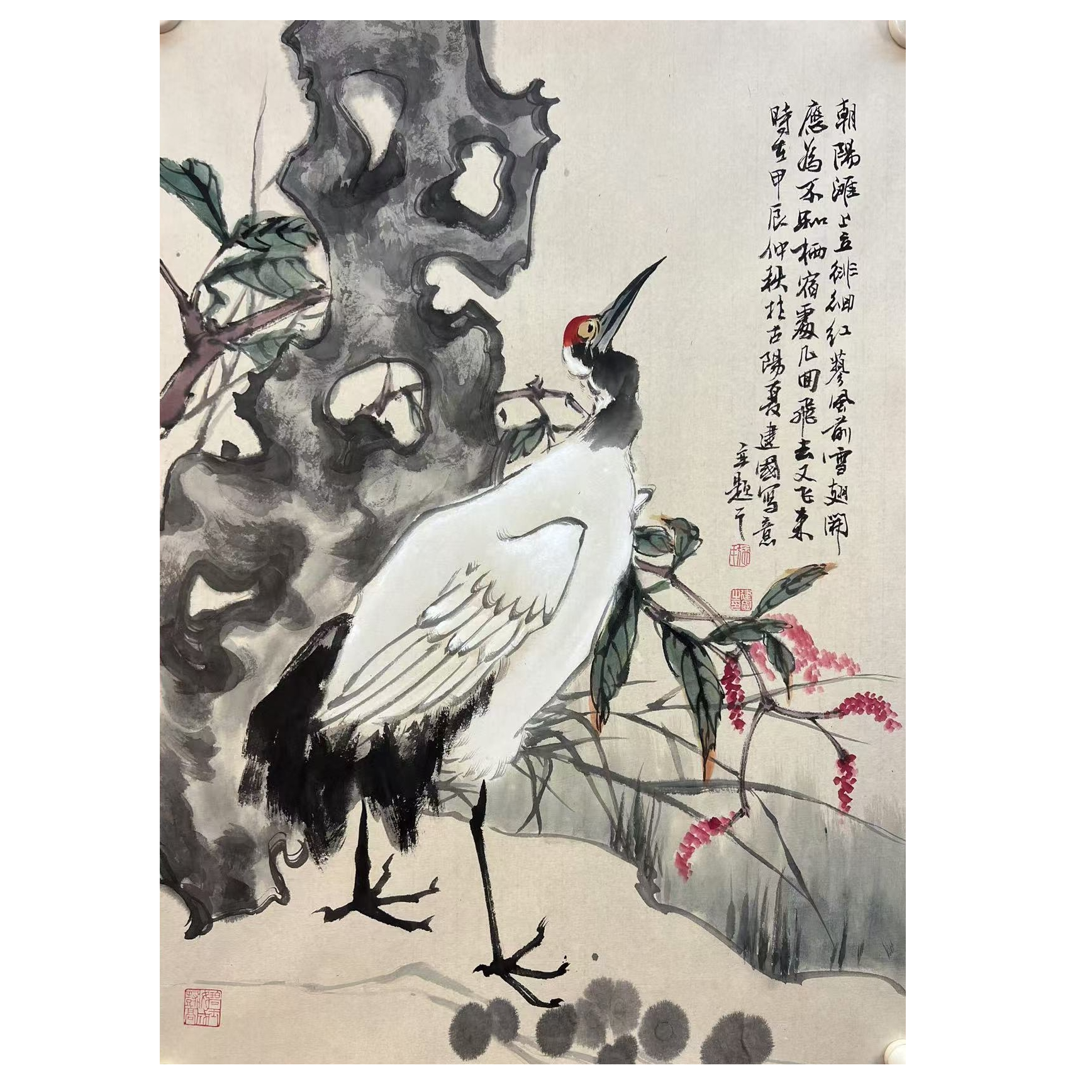 施老师写意花鸟国画作品