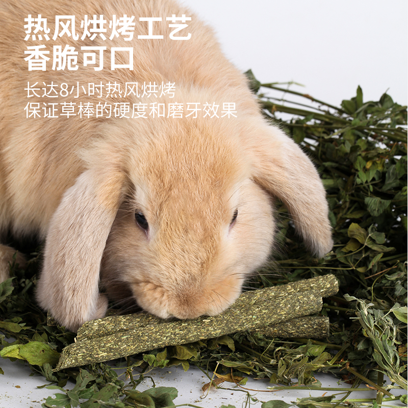 【新人活动】兔子磨牙草棒草饼零食金丝熊龙猫荷兰猪水壶专用品
