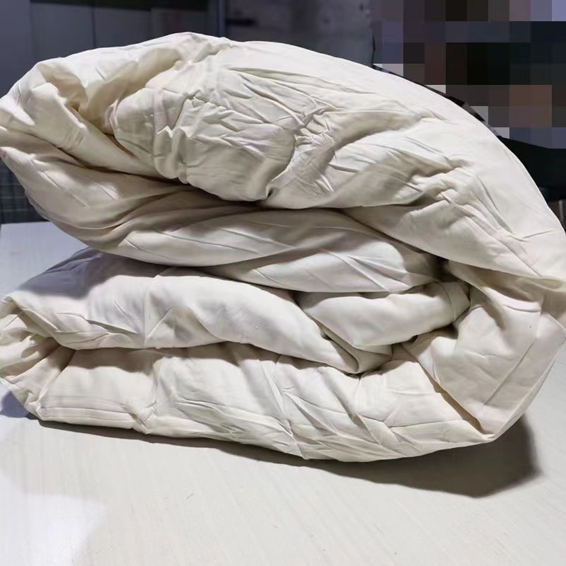 招待卫生棉被  棉花被子 柔软加厚双胆被子 10斤   210*150