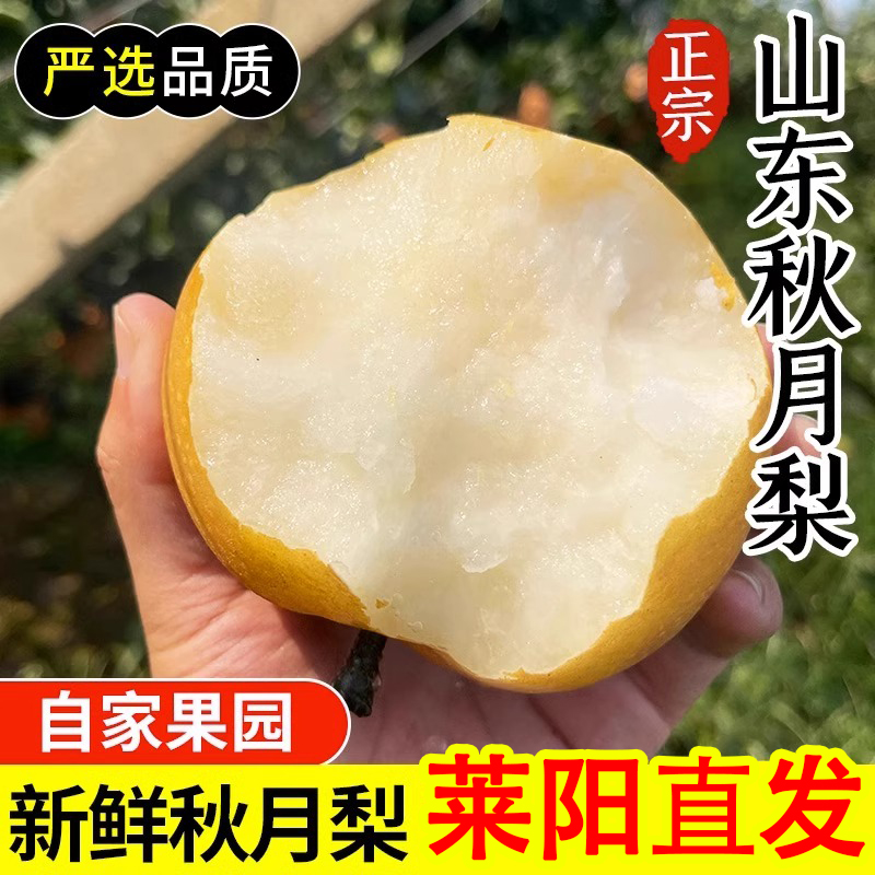 【辛平优选】正宗山东莱阳秋月梨当季梨子5斤装新鲜水果应季水果1