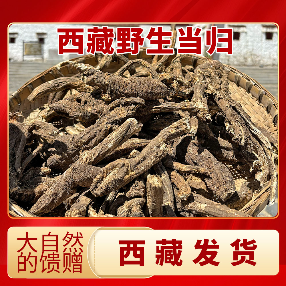 西藏老当归250g林下大野生当归炖汤青藏高原特产