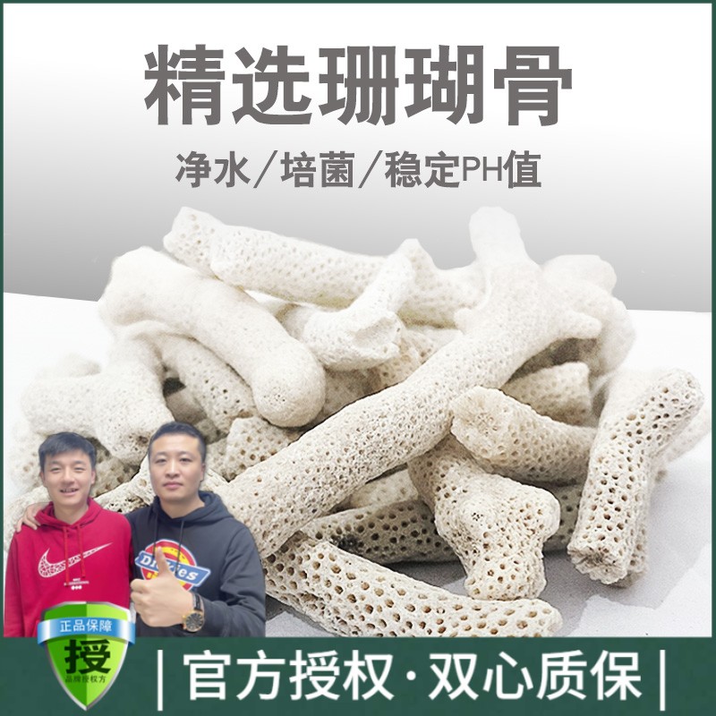 黑蜗牛大块精选珊瑚碱性滤材精选珊瑚石水族鱼缸鱼池过滤材料